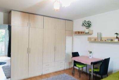 Garsonieră decomandată în Bucovina - 2