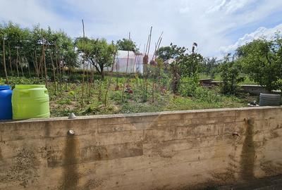 Casa / Vila cu 12 camere-Sfantu Ilie Vechi, Suceava - 54