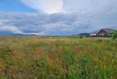 Teren Construcții extravilan de 502 mp, în Hărman - 7