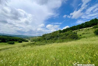Oportunitate investitie, teren cu panorama pentru cabane - 6