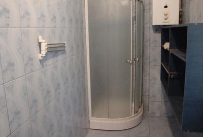 Inchiriere casa la curte - 2