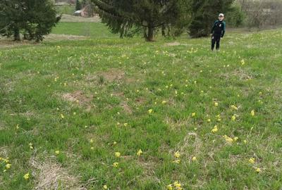 Spațiu comercial, în Ceahlău - 6