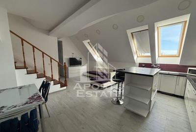 Apartament 4 camere cu etaj, AC, PET FRIENDLY, Torontalului - 2