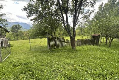 Teren intravilan 3102mp zona Racovita-Blanoiu - 3