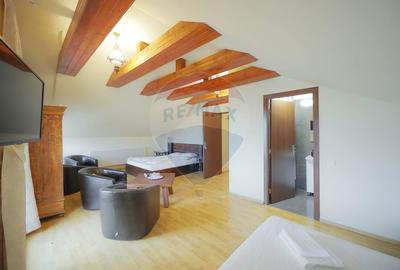 Hotel/Pensiune, de 438 mp, în Nufărul - 45