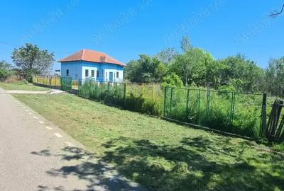 Casa cu teren 2000 m.p. - 4