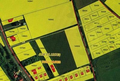 Spațiu comercial, în Central