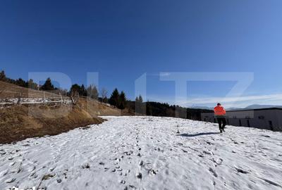 Teren de 2623 mp, în Șieu - 14