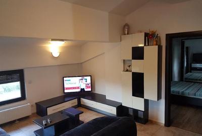 Apartament cu 3 camere semidecomandat, mobilat în Nord - 1