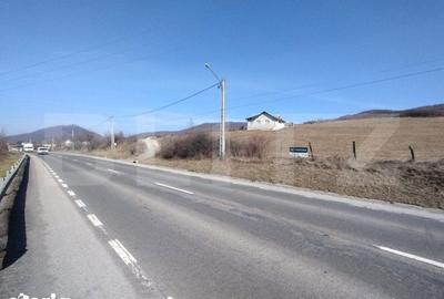 Teren de 5000 mp, în Șieu - 3