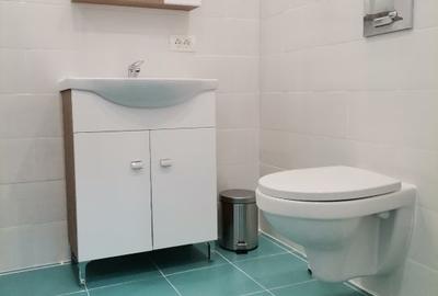 Garsoniera mare cu pat si canapea Grozavesti Politehnica metrou Orhideea - 5