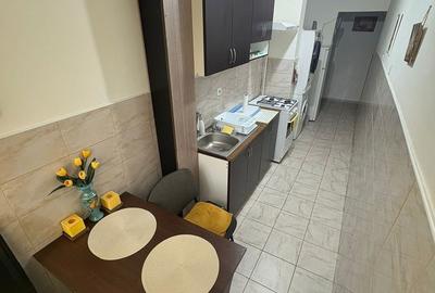 Garsonieră în Tudor - 6