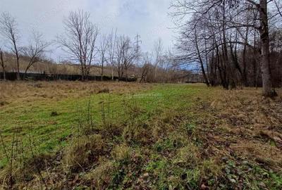 Resita, Teren Drept Intravilan, Langa Prau si Drum, Parcelabil, 4500 Mp., 15 Euro Mp., Renk - 14