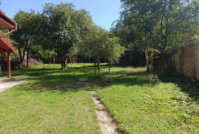 Casa frumoasa, ideala pentru 2 familii, zona linistita, localitatea Zizin, direct de la proprietar - 4