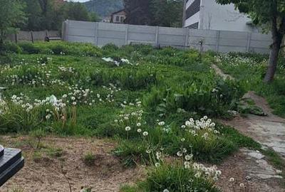 Casa +teren de vanzare - 2