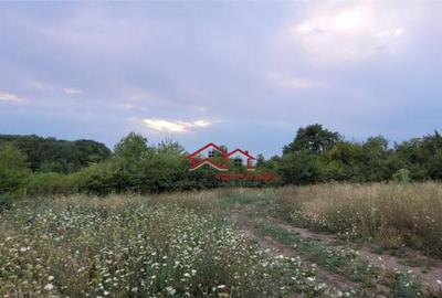 Oportunitate teren zona agrement sau parc eolian,Sibiu Oportunitate teren zona agrement sau parc eolian,Sibiu - 2