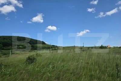 Teren de 3800 mp, în Iris - 2