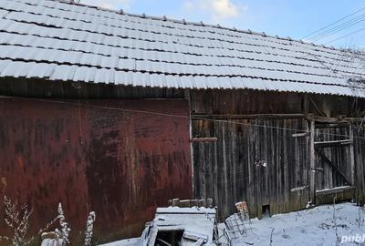 Casa de vanzare cu cabana in curte ?i teren de 2.800 mp - 4