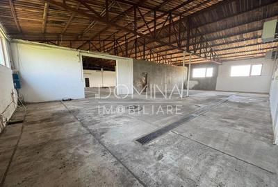 Hala si teren 2,5 ha - infrastructura industriala - 9
