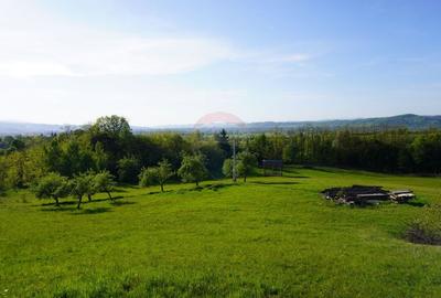Teren 38,592mp Sighetu Marmatiei / Strada Mocanitei - 6