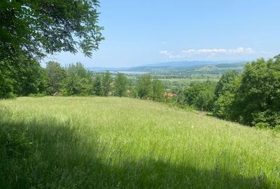 Teren de 4800 mp, în Clopotiva - 1