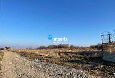 Teren intravilan de vanzare in Iasi, zona Bucium - 12