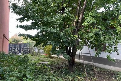 De vanzare casa cu teren in Galati, Zona Bd. Cosbuc, Comision 0 De vanzare casa cu teren in Galati, Zona Bd. Cosbuc, Comision 0 - 13