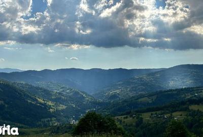 Teren de 17278 mp, în Horea - 6