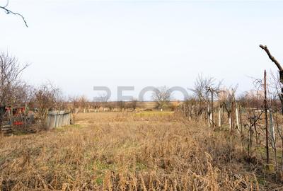 RECO Casa cu teren 3036mp, Bors - 10