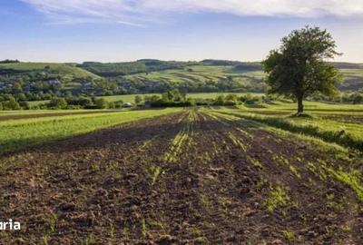 Spațiu comercial, în Vinerea - 1