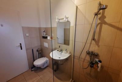 Apartament cu 2 camere semidecomandat, mobilat în Dumbrăvița - 7