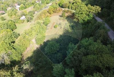 Teren intravilan de vanzare in Magureni - 10