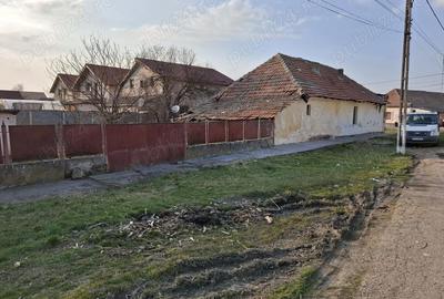 Casă cu Teren 487 Mp în Săcălaz - 2