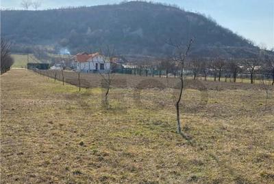 RECO Teren intravilan in zona Alesd Sat Subpiatra 800mp - 2