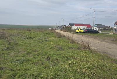 Agigea  Teren cu utilitatii 1 ha cu 500 ml deschidere la strada Crinului - 7