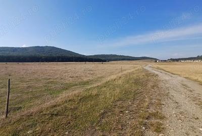 Teren în Central