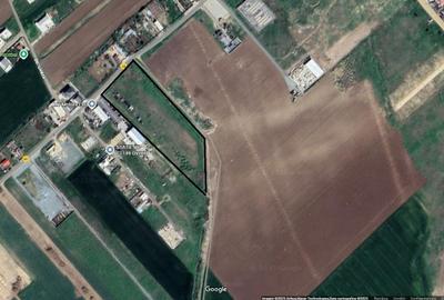 Teren 15000 mp OVIDIU - 5