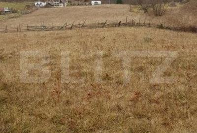 Teren de 50000 mp, în Șaru Dornei