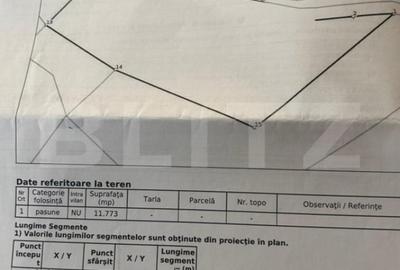 Teren de 12370 mp, în Horea - 3