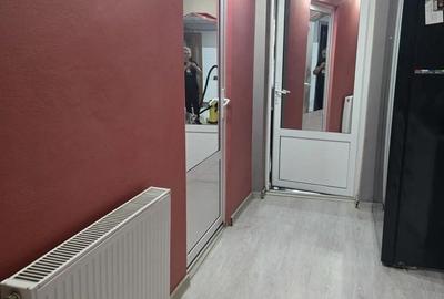 Casă cu 2 camere în Mehala - 1