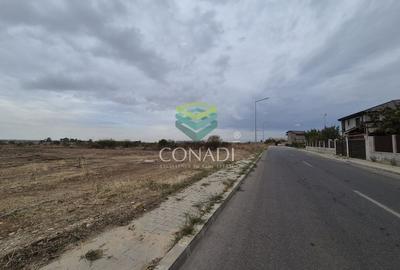 Oportunitate - Teren Chitila - 13.700 mp - pretabil pentru hale - 4