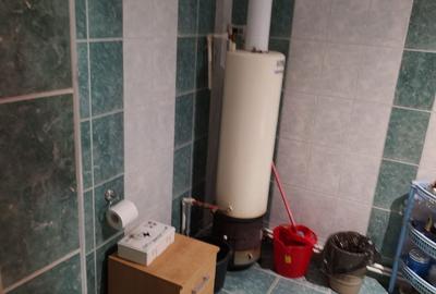 Casă cu 3 camere în Gura Râului - 6