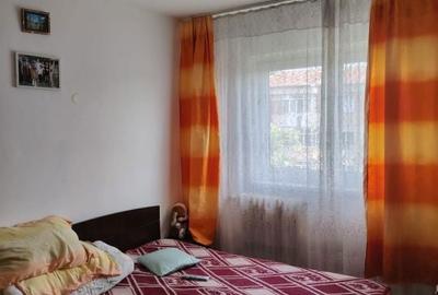 Apartament cu 3 camere decomandat în Brazda lui Novac - 2