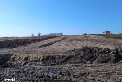 Teren de 500 mp, în Miroslava - 3