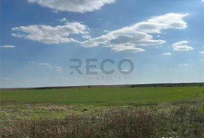 Teren de 25100 mp, în Sântandrei - 3