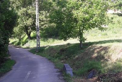 Teren de 3300 mp, în Glod - 1
