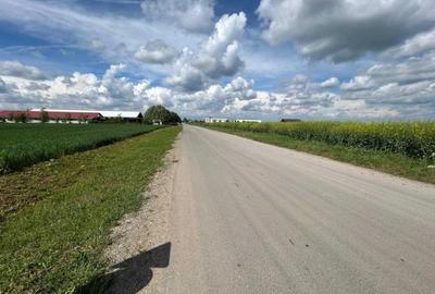 Moara Vlasiei - zona industriala, 17.000 mp - 2