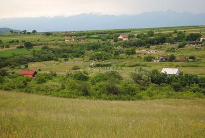 Teren 1,500 mp, vedere panoramica, Sibiu-Daia Noua - 5