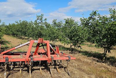 Teren de 140000 mp, în Arva - 5