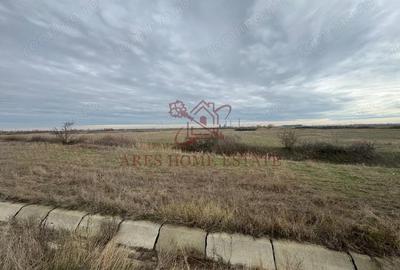 Teren 5.000 mp centura Calea Sagului- Freidorf. Comision 0 - 2